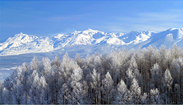 别墅用地以及周边设施以及富良野简介
