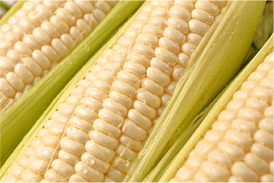 ピュアホワイト